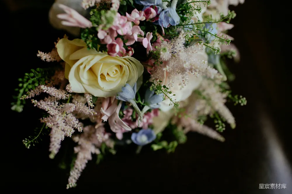 高清摄影 婚礼花束 优雅 花卉 婚礼 装饰 优雅的婚礼花束