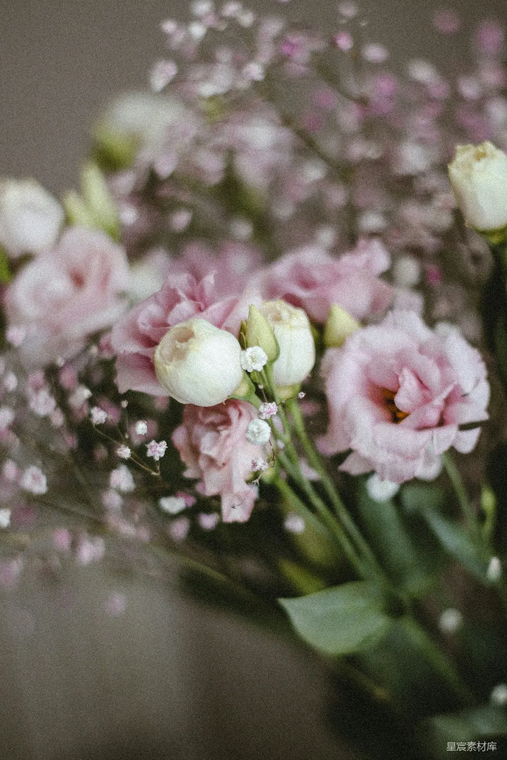 高清摄影 花朵 花束 粉色 自然 摄影 粉色花束的柔美