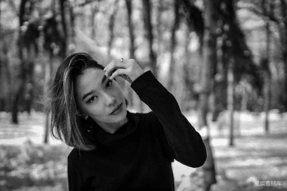 高清摄影 黑白色调 自然风光 森林 静谧 写真 黑白色调森林中的静谧时光