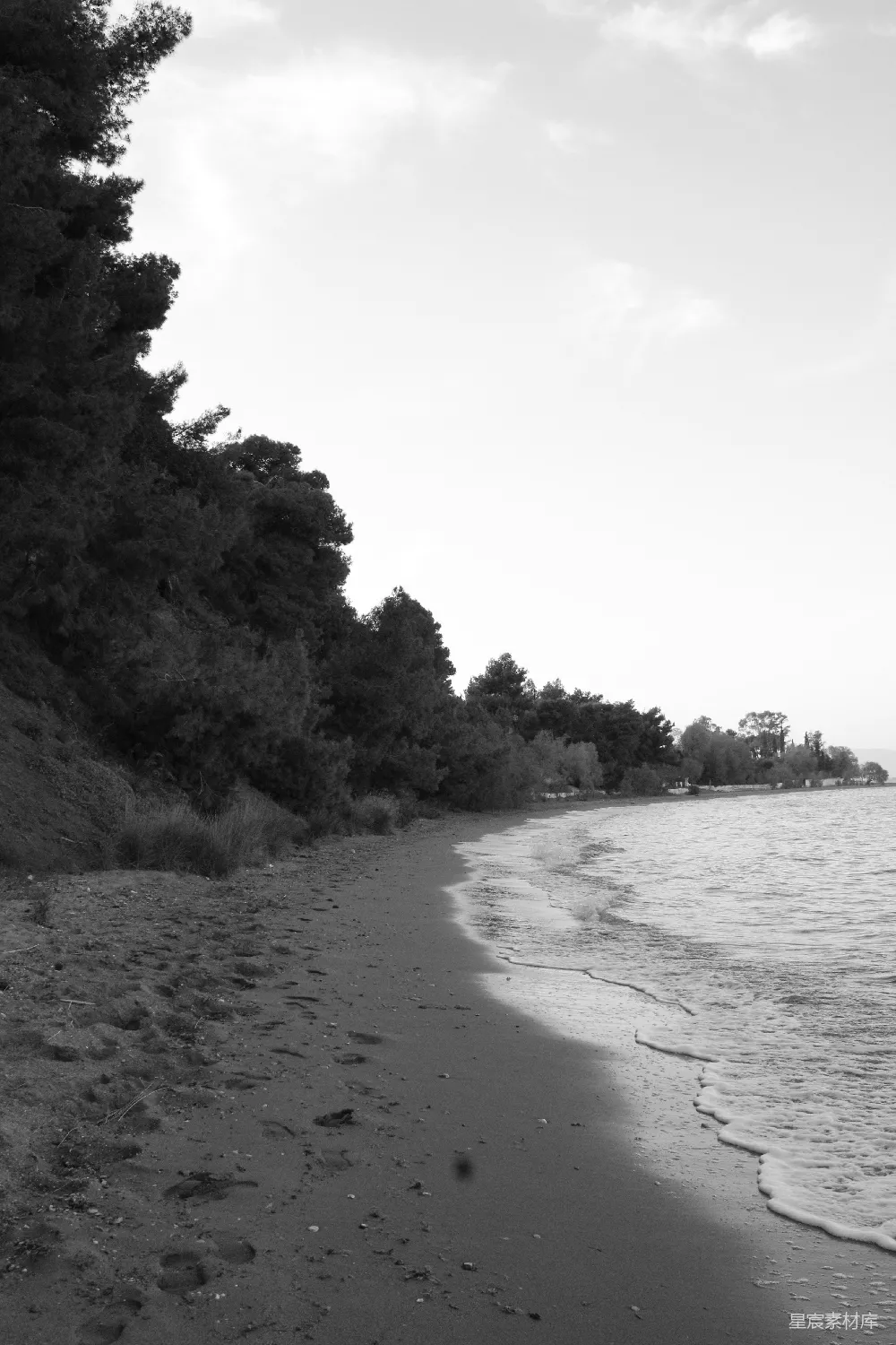 高清摄影 海滩 黑白 宁静 自然 风景 静谧的海滩黑白风景