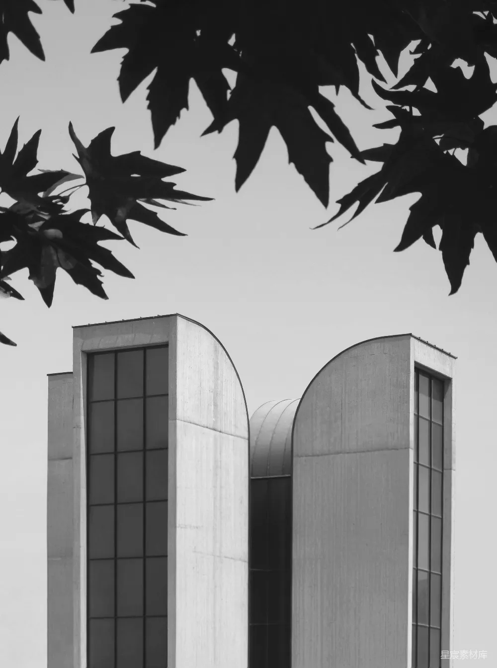 高清摄影 建筑 黑白色调 工业风 都市风光 自然元素 工业建筑与自然的对比