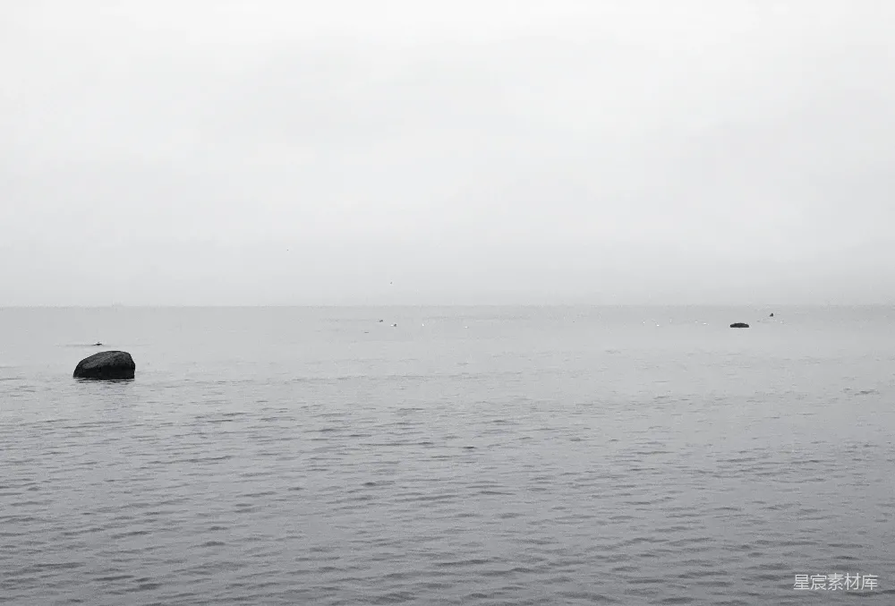 高清摄影 自然风光 黑白摄影 宁静 湖景 雾气 雾中湖面