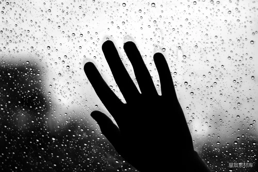 高清摄影 手印 雨滴 情感 黑白 静谧 雨后手印