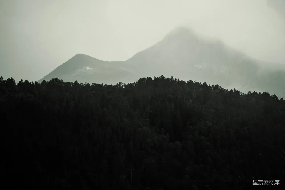 高清摄影 自然风光 森林 山峰 雾气 宁静 雾中森林与山峰