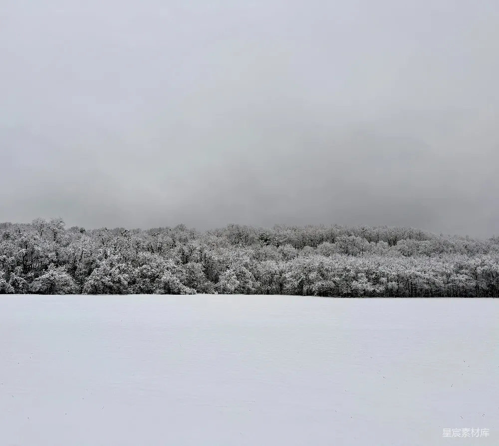 高清摄影 冬季 自然风光 雪景 宁静 寒冷 冬日雪景
