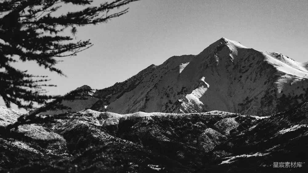 高清摄影 雪山 黑白风格 自然风光 户外旅行 风景摄影 雪覆盖的山峰与松枝
