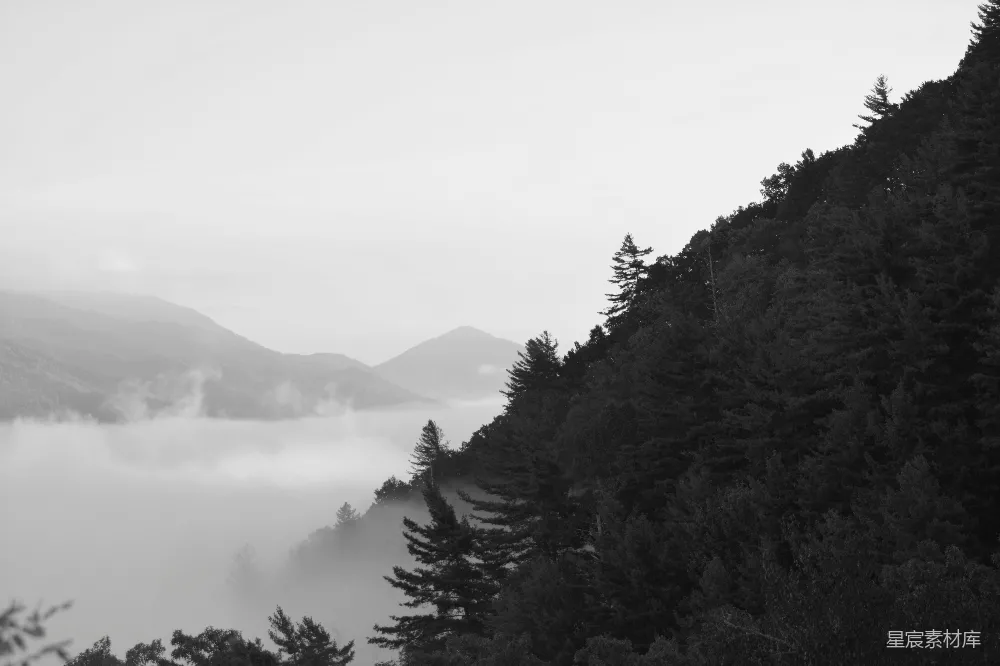 高清摄影 雾气 山脉 自然风光 黑白摄影 宁静 雾中的山峦
