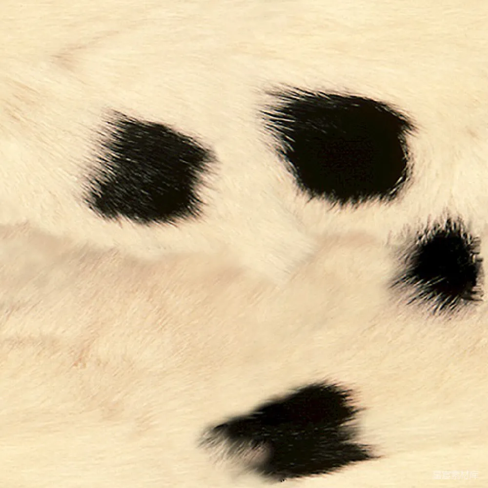 材质纹理 熊猫 毛发特写 黑白图案 可爱 动物 熊猫毛发特写：黑白分明的可爱图案