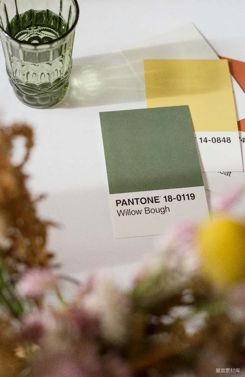 高清摄影 PANTONE 色彩 设计灵感 室内设计 创意灵感 PANTONE 18-0119 Willow Bough 色卡展示
