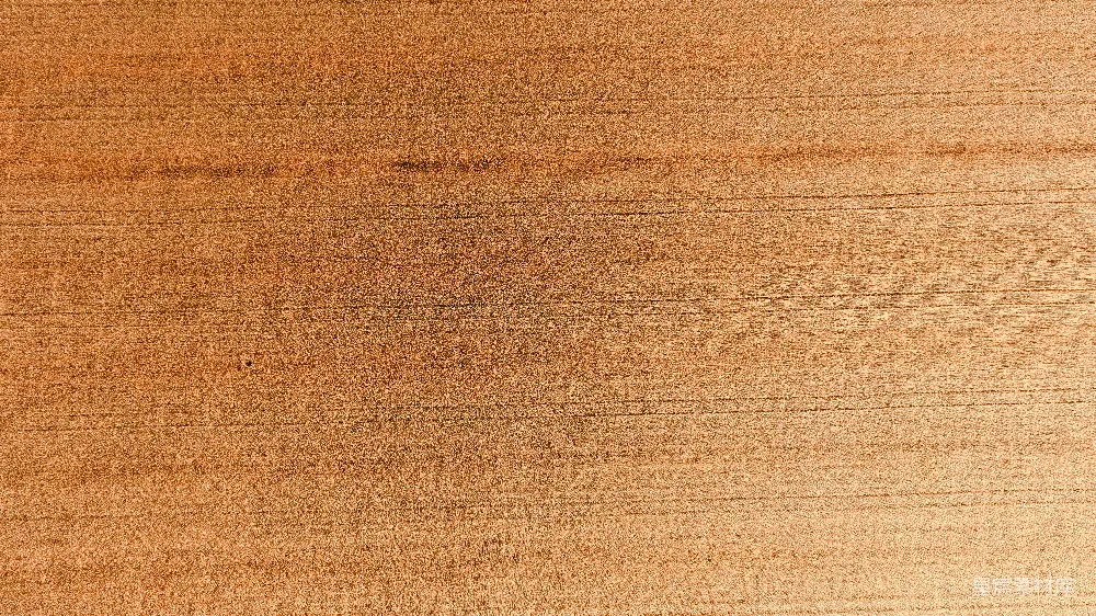 高清摄影 木质纹理 温暖色调 自然风格 装饰背景 家居设计 温暖的木质纹理背景