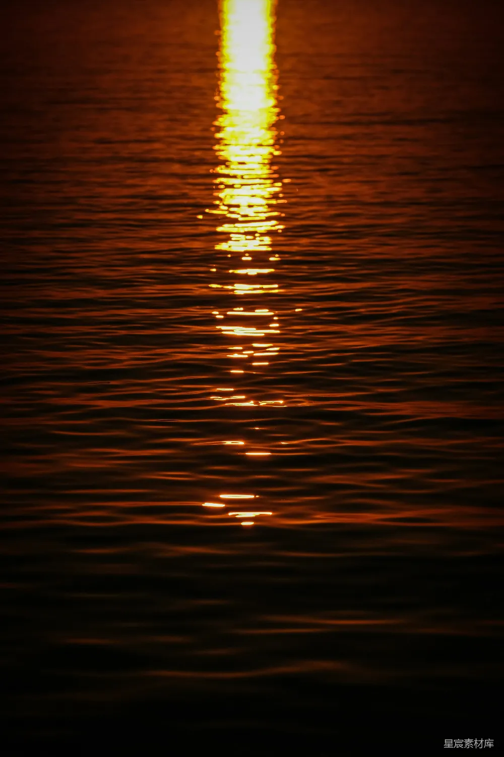 高清摄影 夕阳 涟漪 自然 宁静 温暖 夕阳下的涟漪
