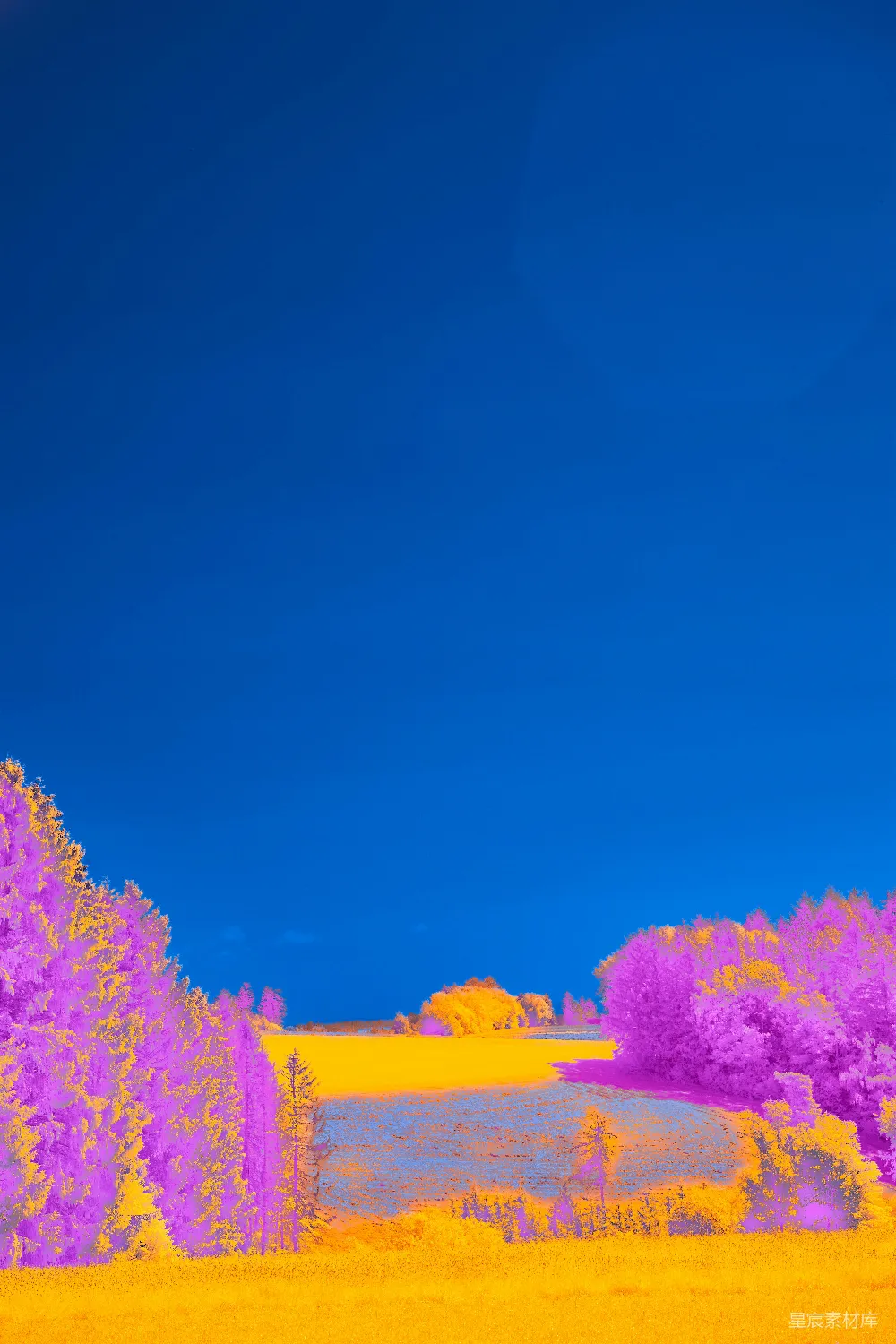 高清摄影 田野 梦幻 色彩 自然 风景 梦幻色彩的田野