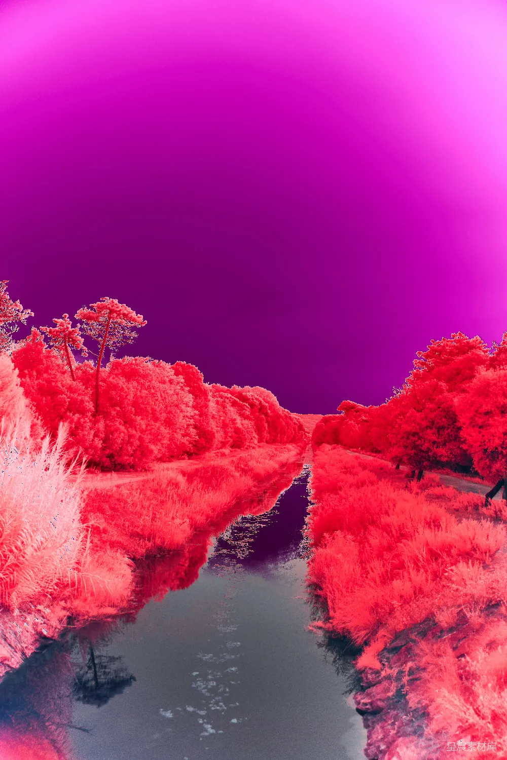 高清摄影 红外摄影 梦幻 自然 风景 艺术 红外摄影的梦幻湖畔