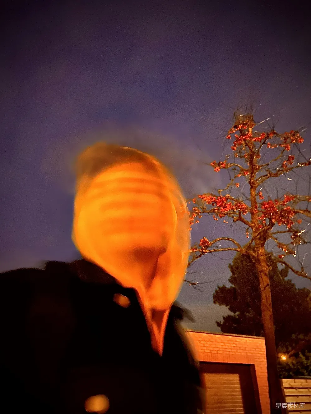 高清摄影 夜景 火焰 艺术 抽象 氛围 夜色中的橙色火焰
