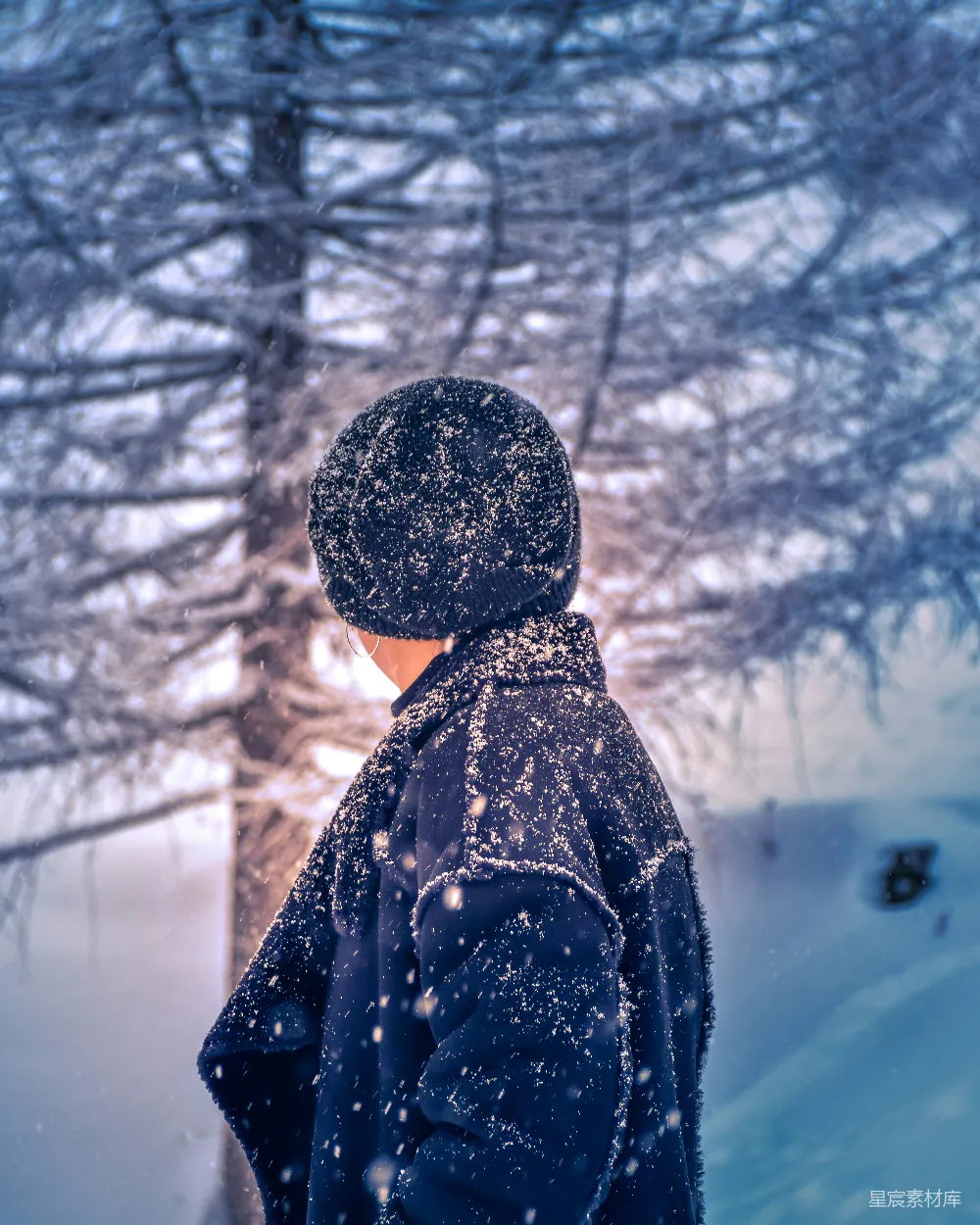高清摄影 冬日 雪景 孤独 背影 自然 冬日里的独行者