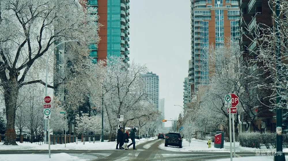 高清摄影 冬日 城市 雪景 街道 建筑 冬日城市街头雪景