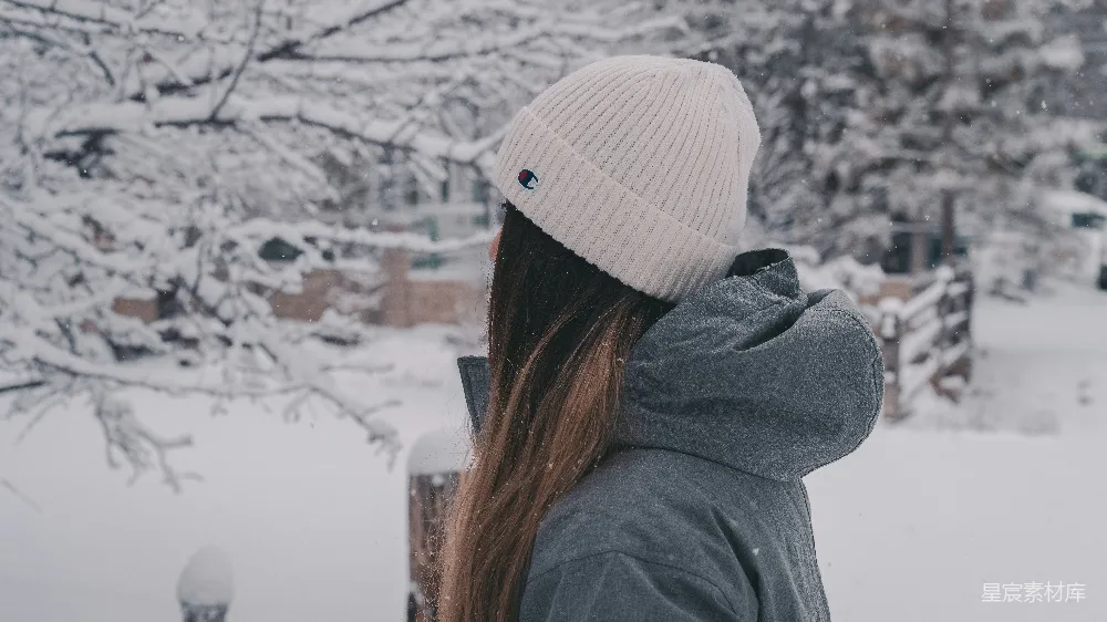 高清摄影 雪景 冬日 温暖 背影 自然 冬日雪景中的温暖背影