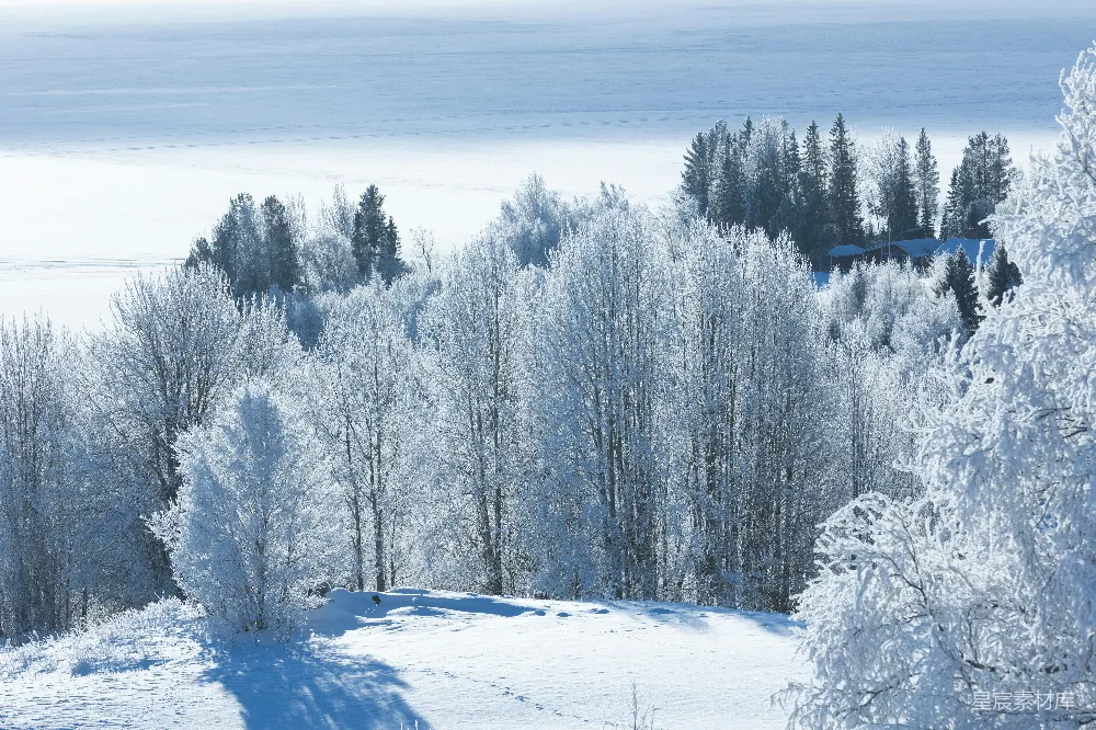 高清摄影 雪景 宁静 小屋 冬季 自然 雪景中的宁静小屋