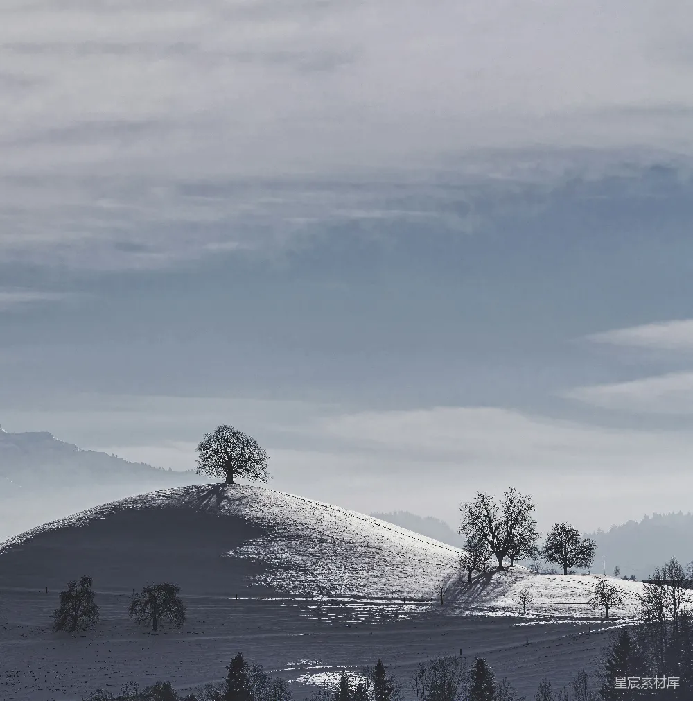 高清摄影 冬日 孤树 雪景 自然 宁静 冬日孤树与雪景