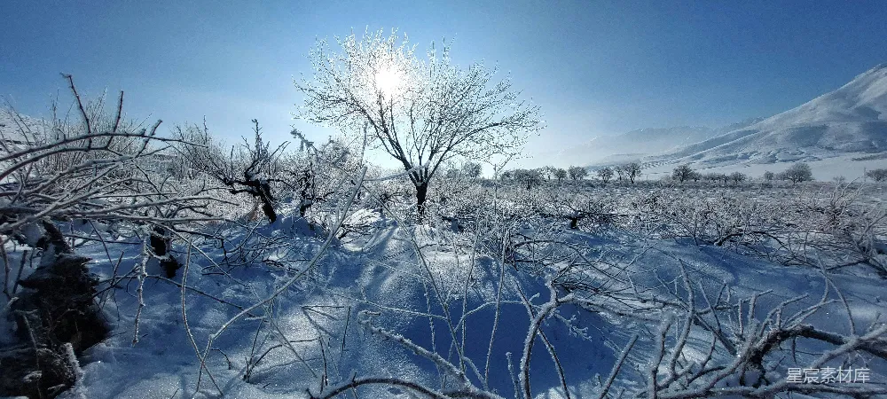 高清摄影 雪景 冬季 自然风光 宁静 户外 冬日雪景下的静谧风景