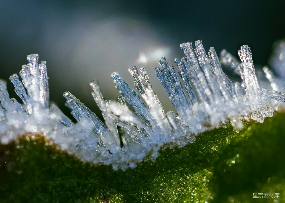 高清摄影 自然 微距 冰晶 冬季 自然美景 晶莹冰柱