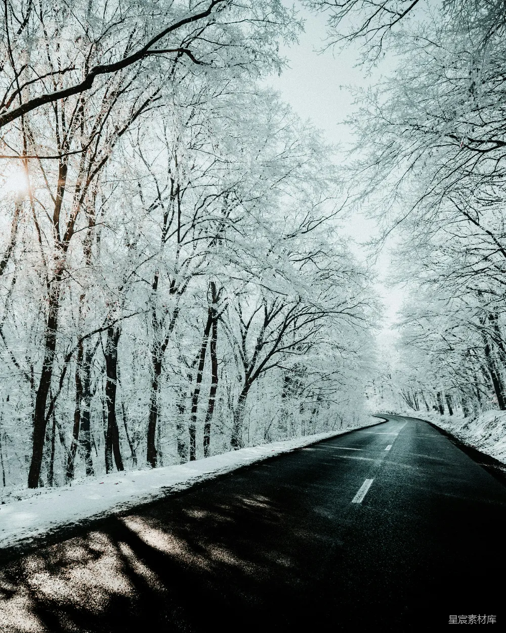 高清摄影 冬季 雪景 森林 公路 宁静 冬日雪林中的蜿蜒道路