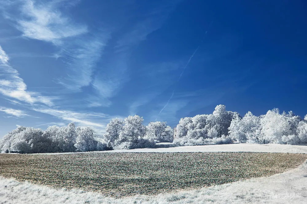 高清摄影 冬日 雪景 田野 自然 宁静 冬日田野雪景