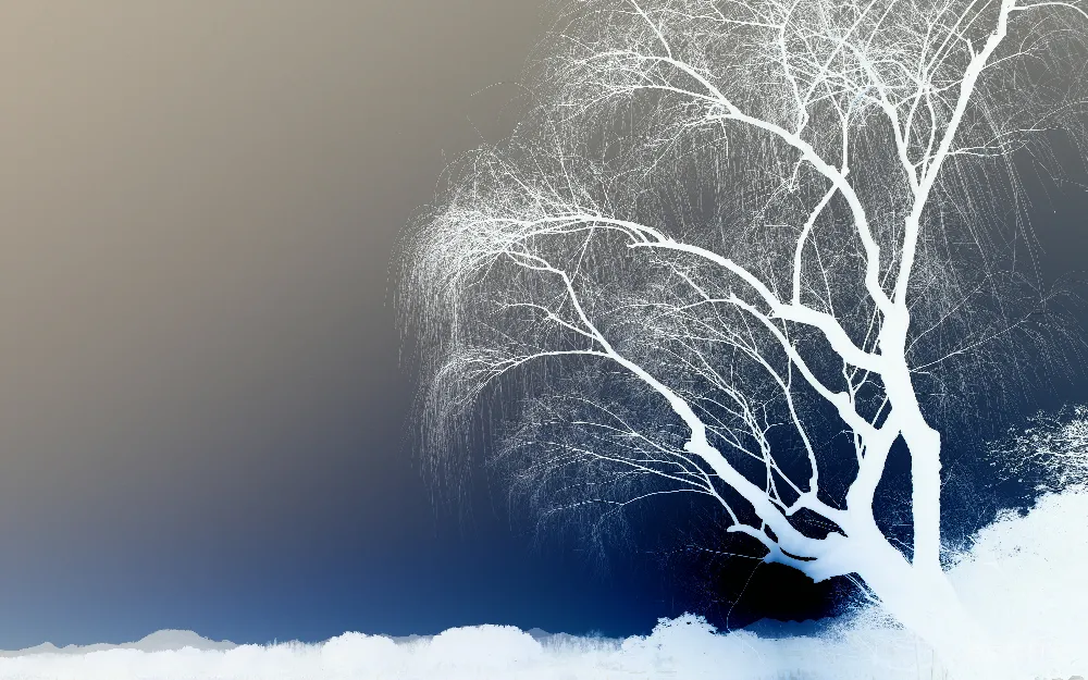高清摄影 冬季 雪景 自然 冷色调 静谧 冬日雪树剪影