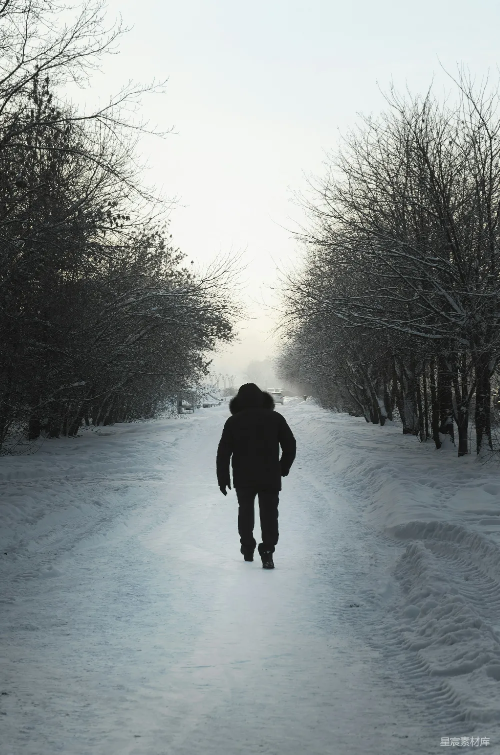 高清摄影 冬季 雪地 独行 寂静 自然 冬日雪地漫步
