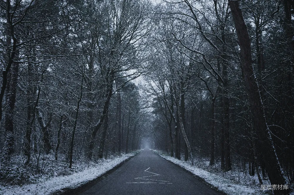 高清摄影 冬季 森林 雪景 宁静 自然 冬日森林中的寂静道路