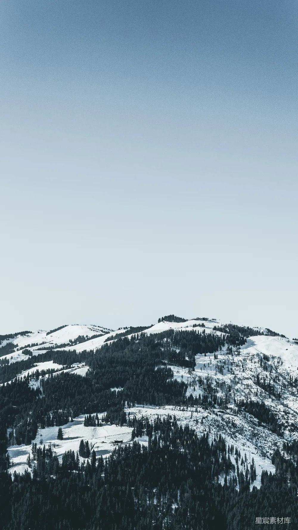 高清摄影 雪景 森林 山丘 宁静 自然 雪域森林的宁静之美