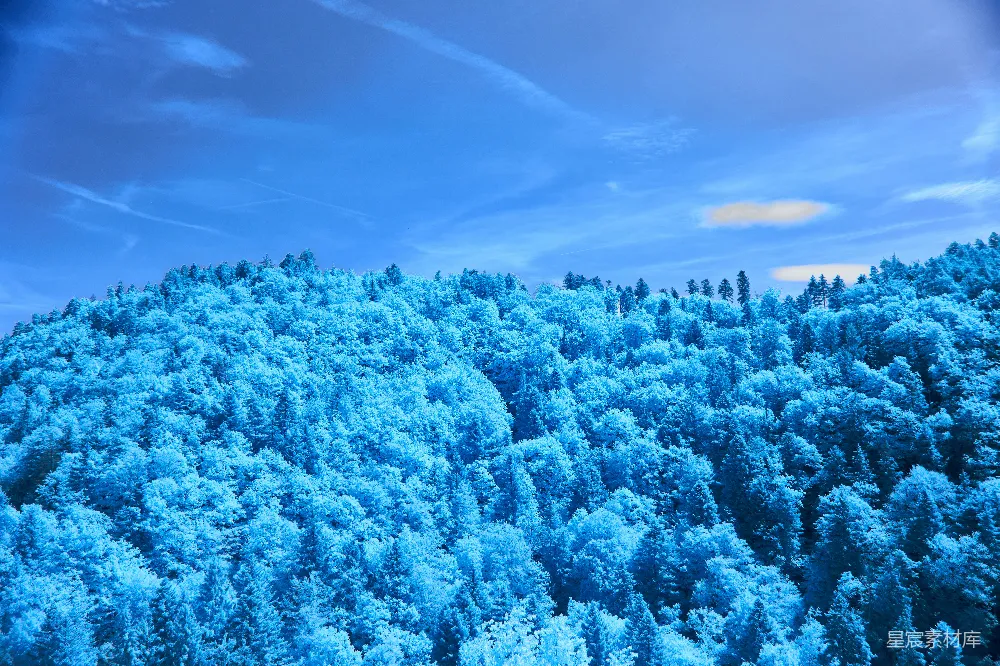 高清摄影 雪山 森林 冬日 蓝色 静谧 冬日蓝调：雪山森林的静谧时光