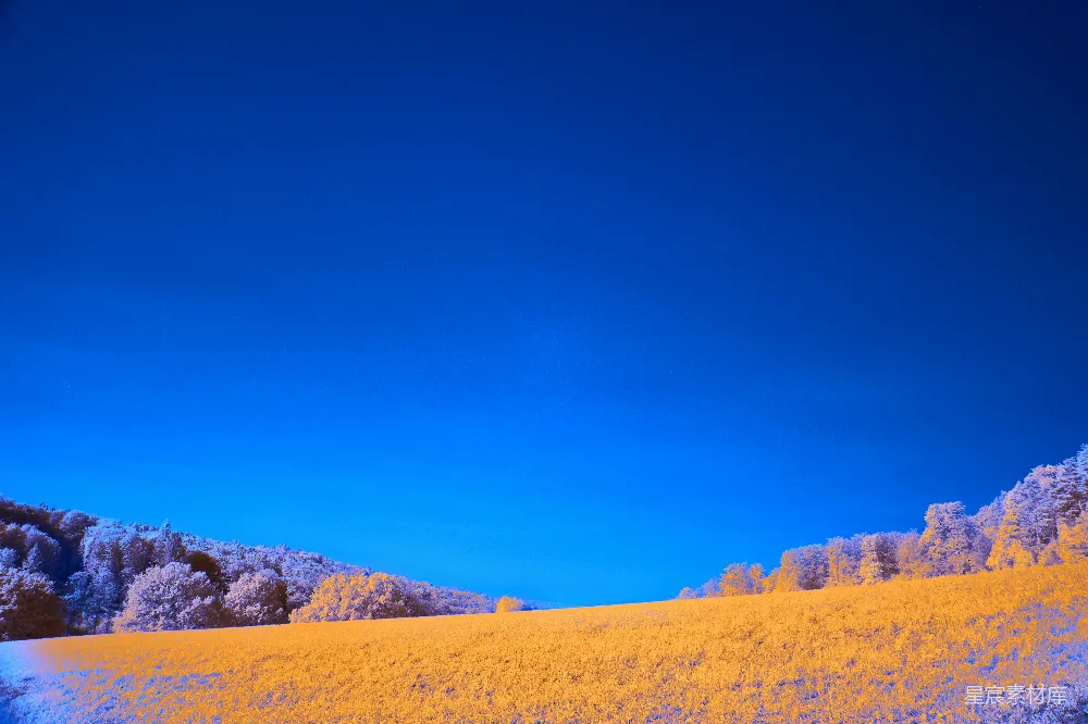 高清摄影 雪景 宁静 田野 冬日 自然 雪景中的宁静田野
