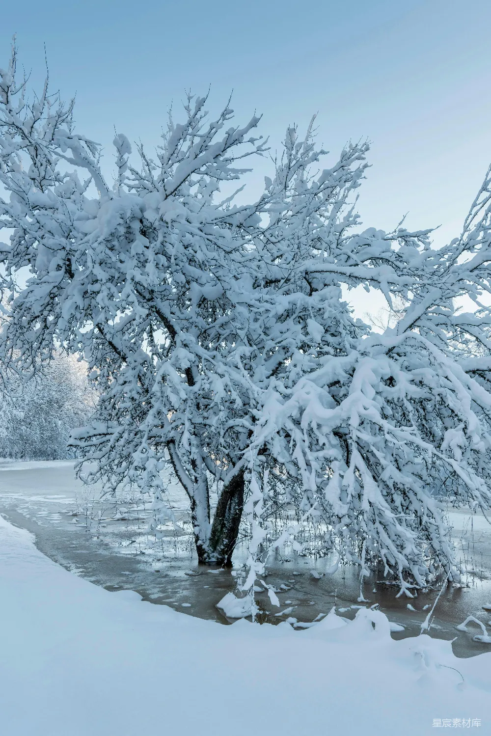 高清摄影 冬景 雪景 河流 静谧 自然 冬日雪景下的静谧河流