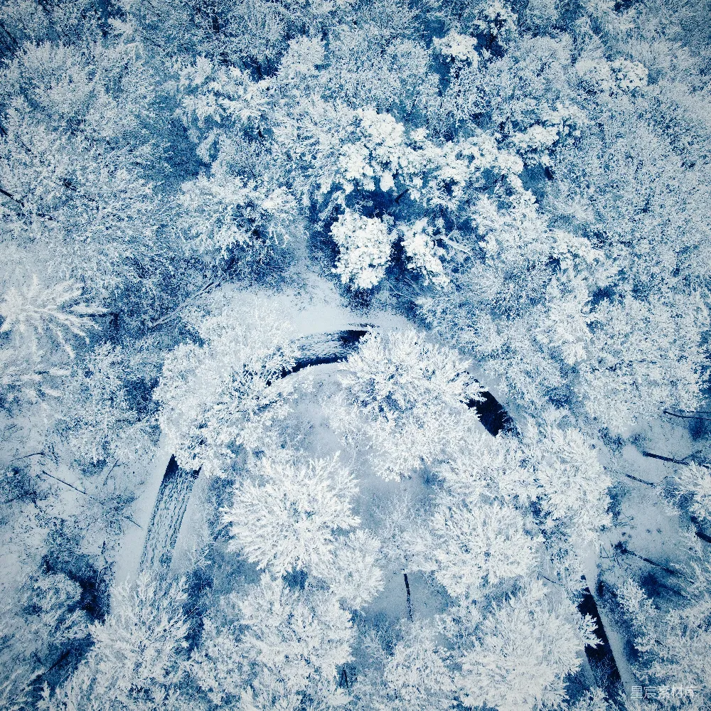 高清摄影 雪景 航拍 森林 冬季 自然 冬日森林雪景航拍