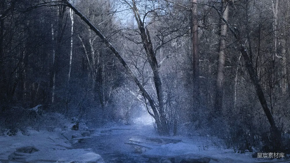 高清摄影 冬日 森林 小径 雪景 自然 冬日森林的小径