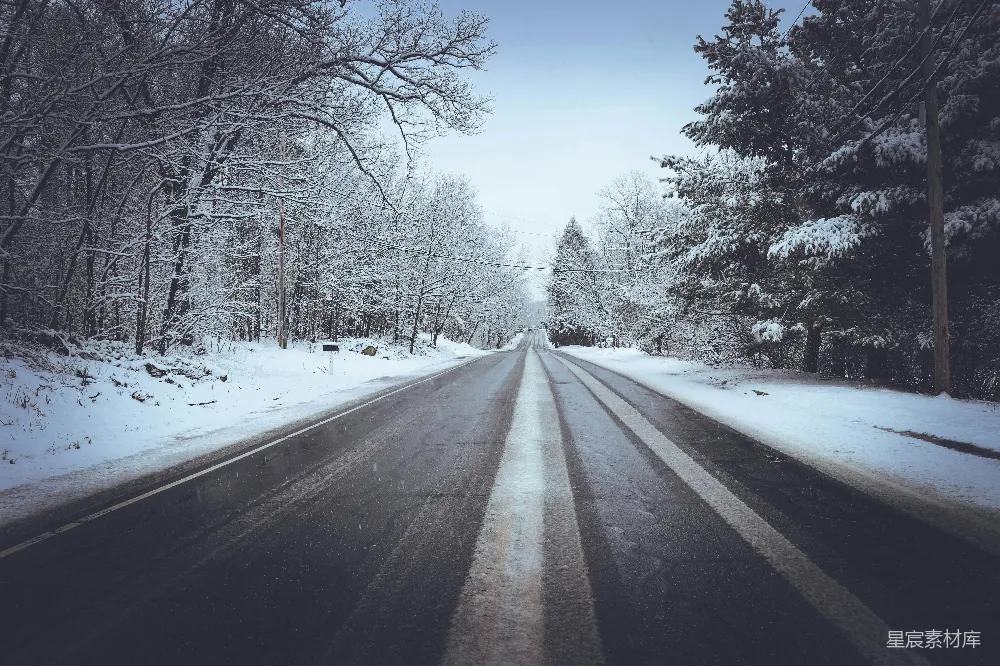 高清摄影 冬季 雪景 乡村道路 宁静 自然 冬日雪景中的乡村道路