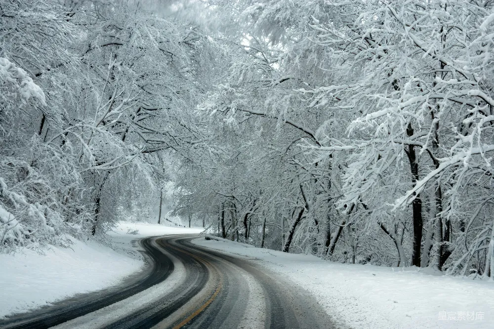 高清摄影 雪景 冬季 自然风光 道路 宁静 冬日雪景中的蜿蜒道路