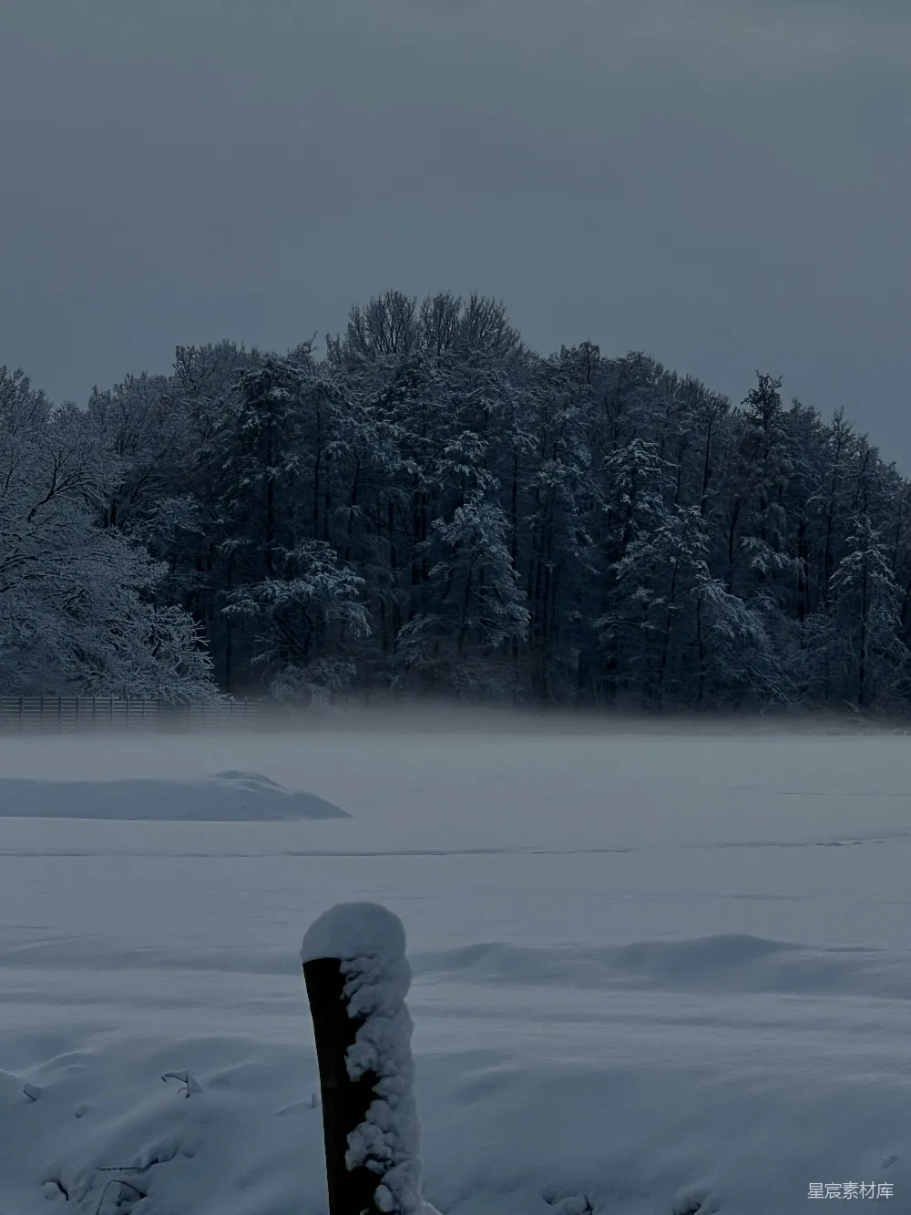 高清摄影 冬季 雪景 晨雾 静谧 自然 冬日晨雾中的雪景