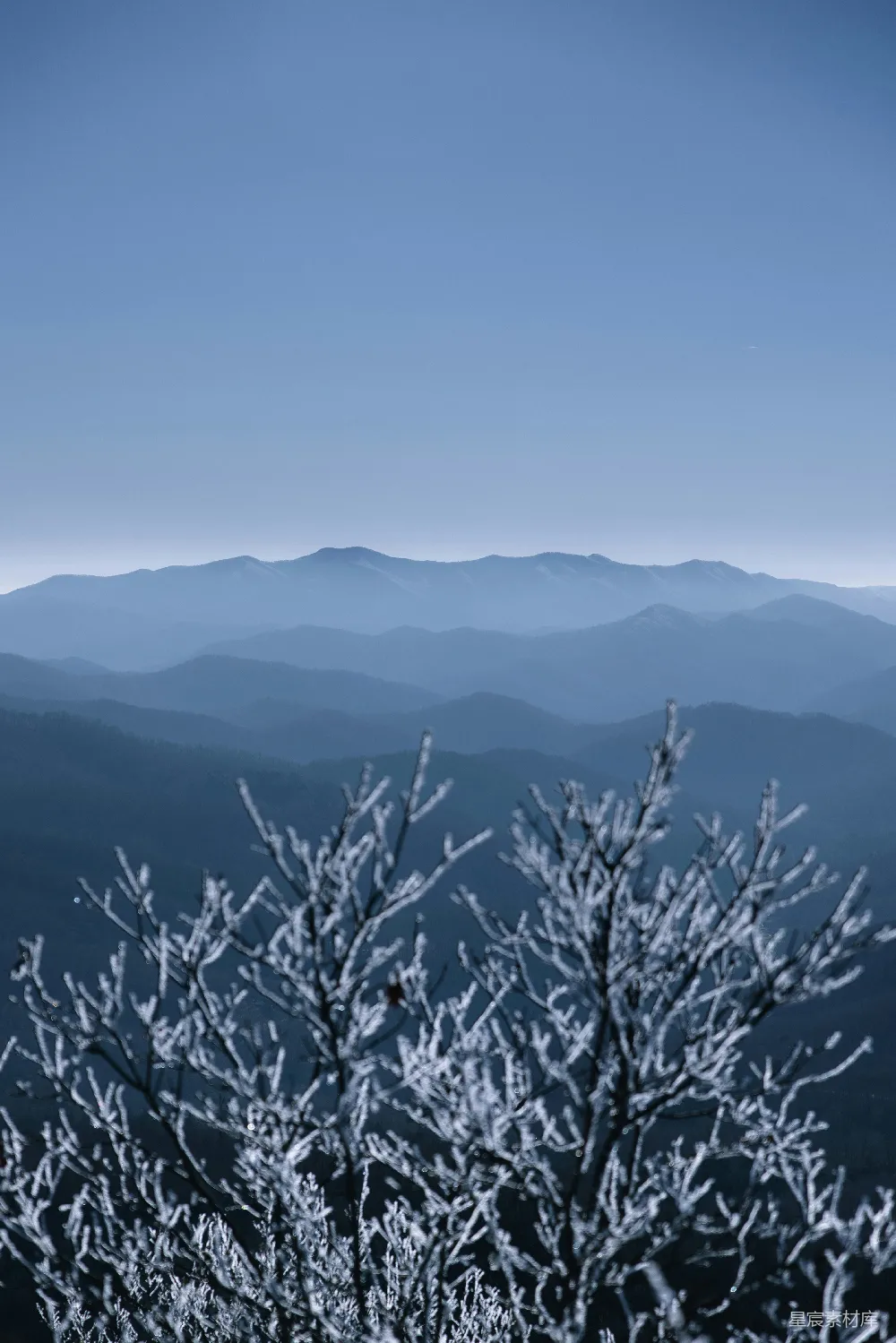 高清摄影 冬日 山景 霜枝 自然风光 宁静 冬日山景与霜枝