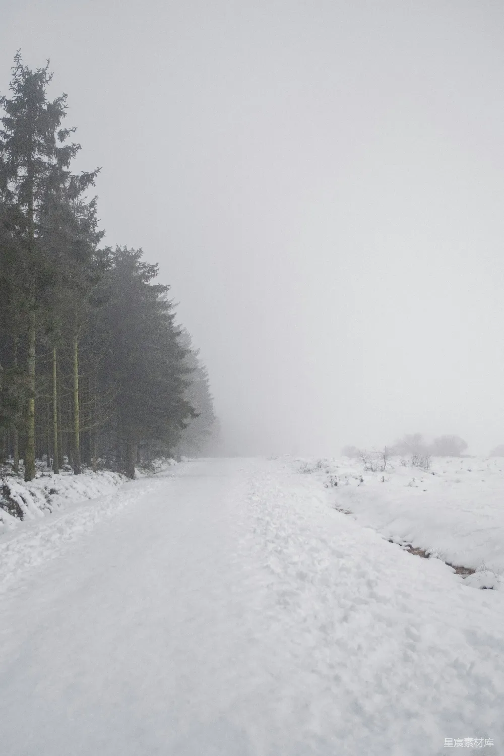 高清摄影 雪景 森林 宁静 冬季 自然 冬日雪路