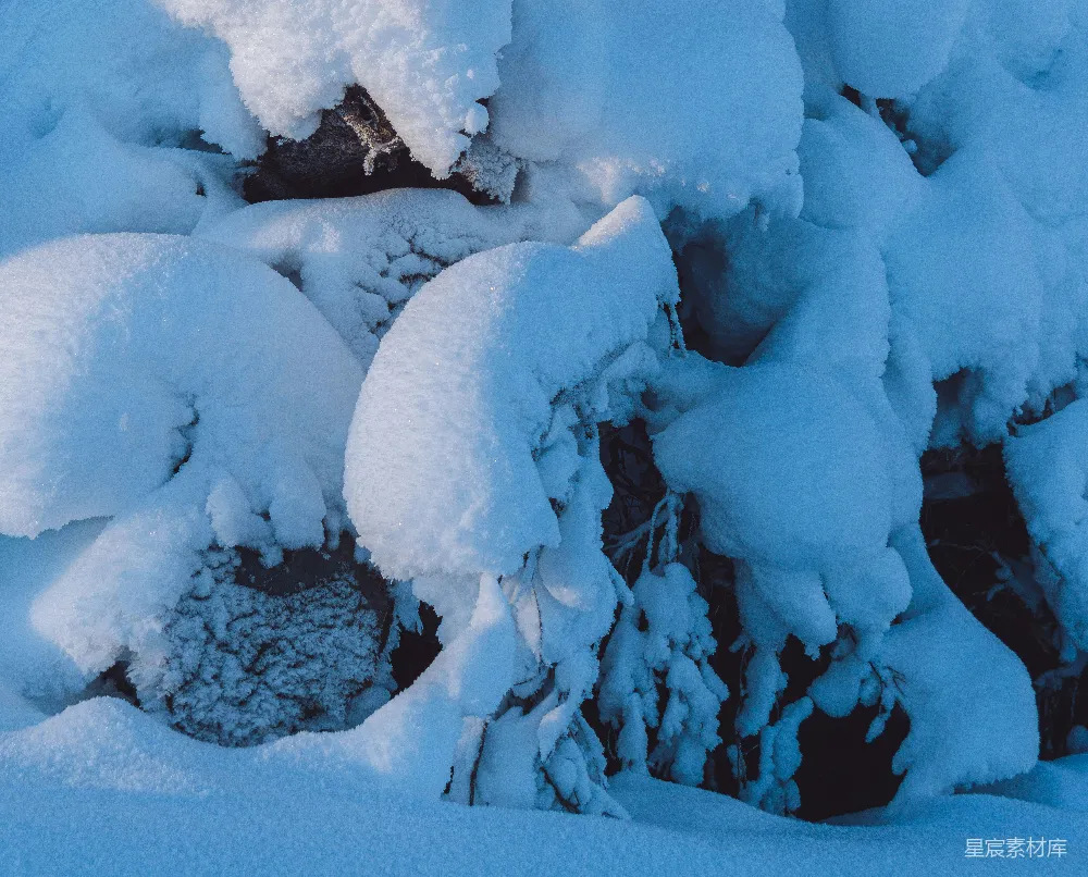 高清摄影 雪景 自然 冬季 静谧 冷色调 冬日雪景中的树枝