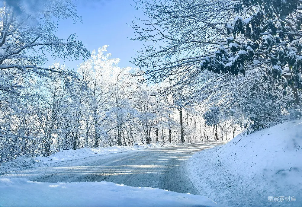 高清摄影 冬季 雪景 自然风光 森林 宁静 冬日雪景中的蜿蜒小路
