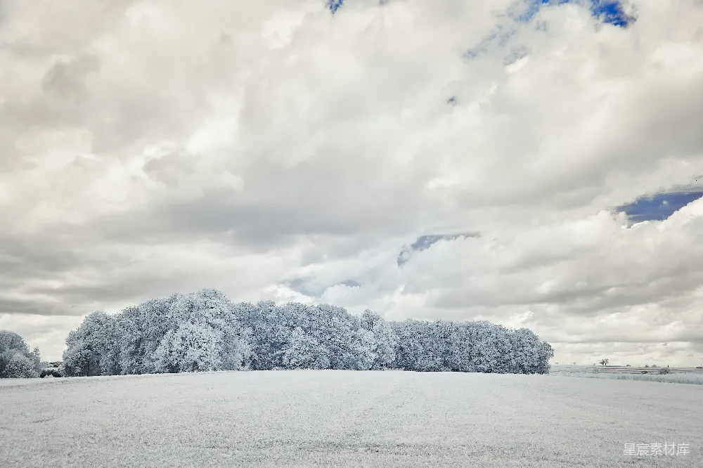 高清摄影 雪景 森林 冬季 自然风光 宁静 冬日雪景中的森林与天空