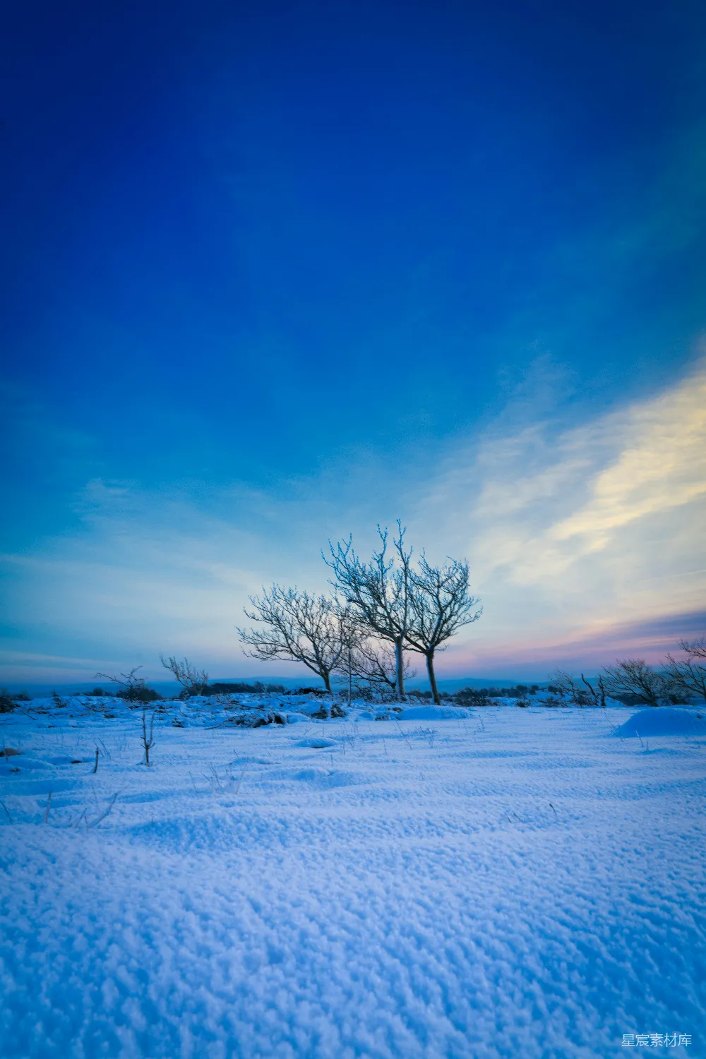 高清摄影 冬季 自然风光 雪景 黄昏 宁静 冬日黄昏下的雪地