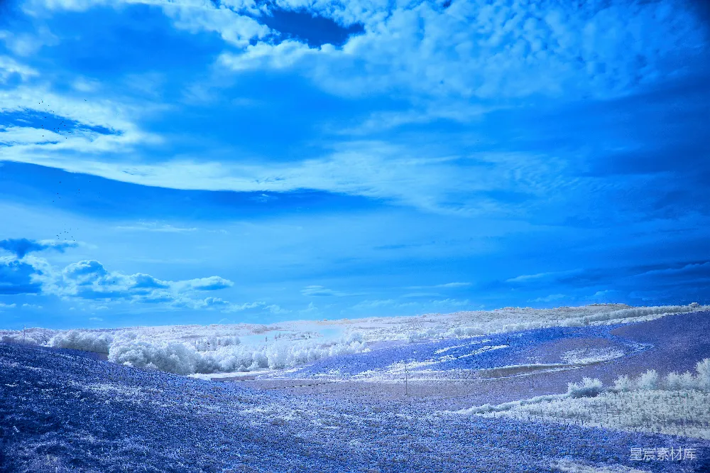 高清摄影 冬季 蓝色调 风景 雪景 宁静 蓝色调的冬季风景