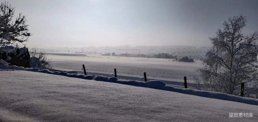 高清摄影 冬季 乡村 雪景 晨雾 宁静 冬日晨雾中的乡村雪景