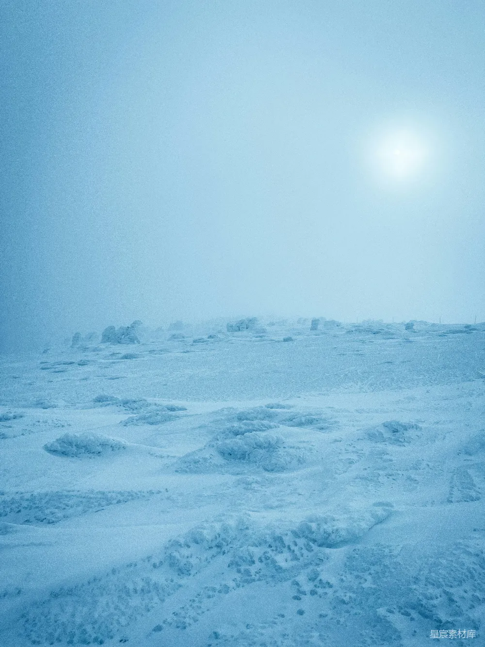 高清摄影 冬季 自然风光 雪景 雾气 宁静 雪地迷雾