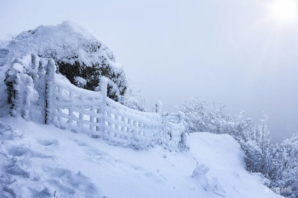 高清摄影 雪景 旧栅栏 冬季 自然景观 静谧 冬日雪景中的旧栅栏