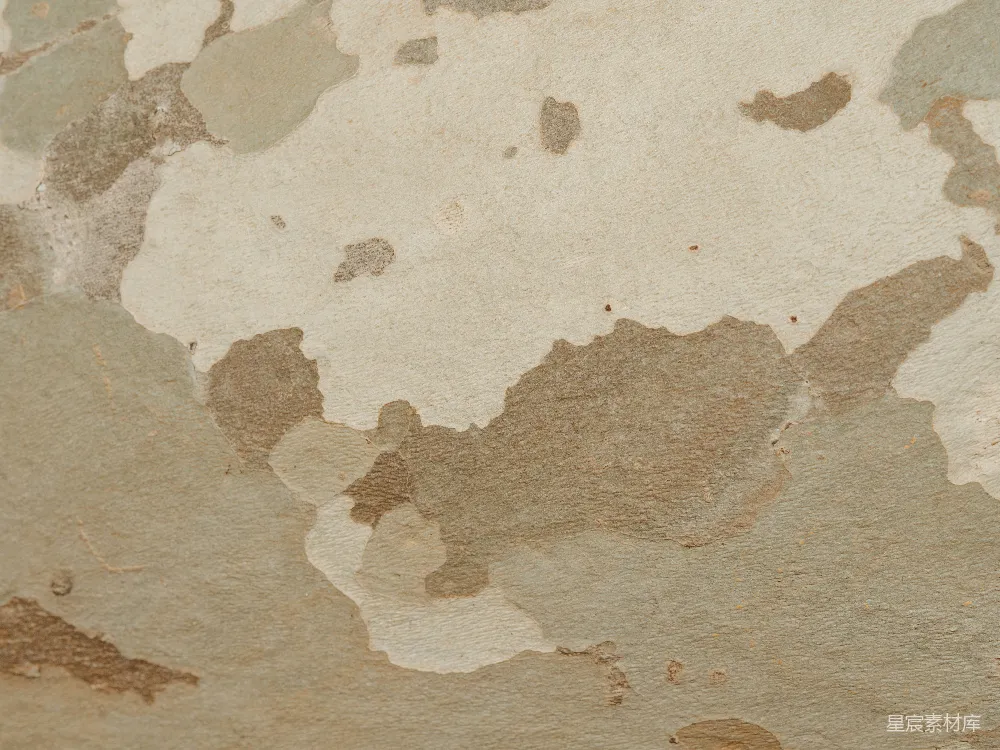 高清摄影 树皮 纹理 自然 背景 装饰 斑驳的树皮纹理
